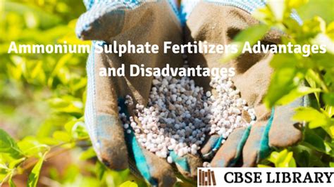 Ammonium Sulphate Fertilizers Advantages And Disadvantages What Are