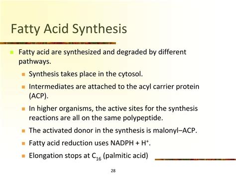 Ppt Fatty Acid Synthesis Powerpoint Presentation Free Download Id 3831752