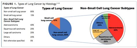 Diagnosis, Staging, and Testing for Nonsquamous NSCLC