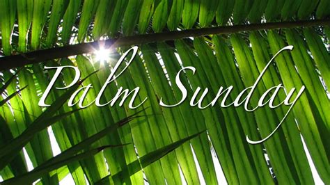 Palm Sunday Wallpapers Top Free Palm Sunday Backgrounds Wallpaperaccess