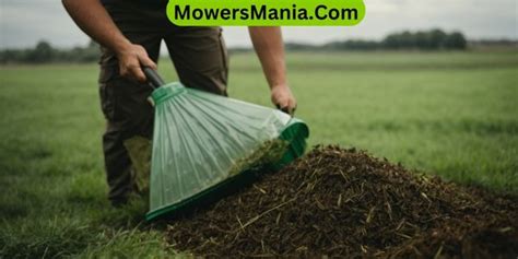 Mulching VS Bagging Grass Clippings? What Should I Do? – MowersMania.Com