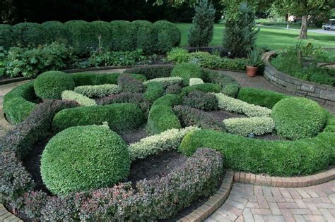 Landscaping Boxwood Shrubs — Randolph Indoor And Outdoor Design