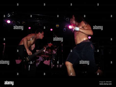 Flea And The Red Hot Chile Peppers Performing Live At The Palladium In Hollywood Ca Usa Onapril