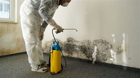 Does Homeowners Insurance Cover Mold