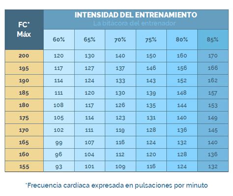 Entrenamiento Por Pulsaciones