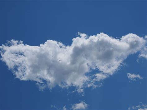 Free Images Cloud Sky White Daytime Cumulus Blue Clouds Form