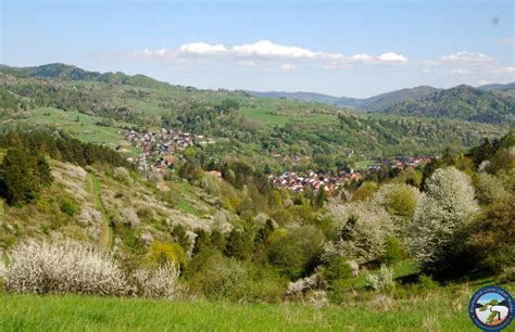 Przewodnik Po Kro Cienku Nad Dunajcem Poznaj Pieniny