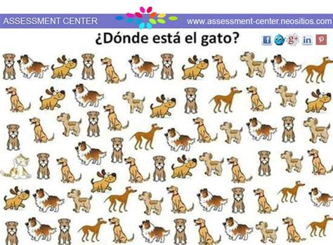 Facil Donde Esta El Gato Juegosmentales Assessmentcenter