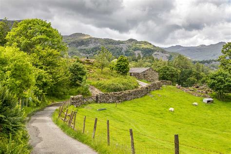 Tarn Hows Walk Tom Gill Southern Lake District Lake District Walks