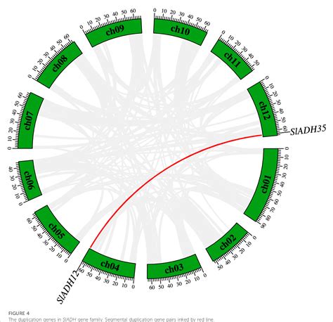 Figure From Genome Wide Identi Cation And Characterization Of Adh