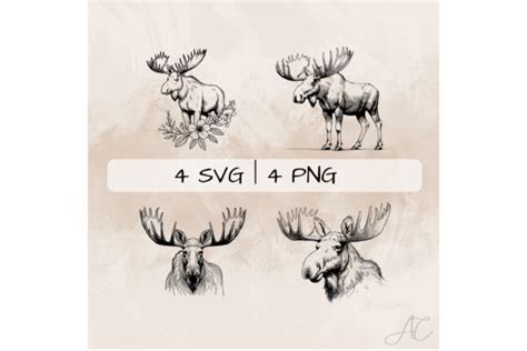 Delicate Moose Svg Bundle Graphic By Artistic Ortex · Creative Fabrica