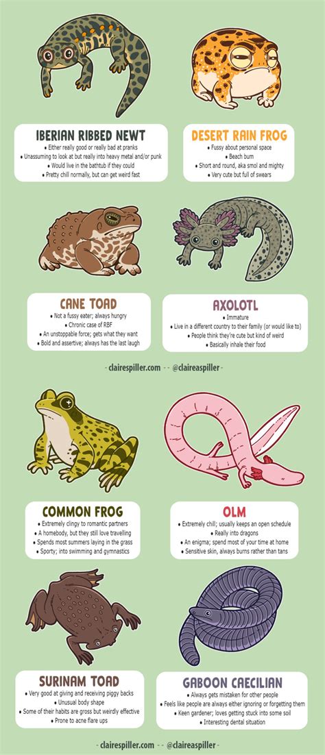 Tag Yourself Amphibians Edition Tag Yourself Tag Your Friends