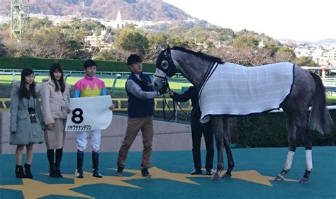 【阪神6r新馬戦】ハヤブサナンデクン、5馬身差で圧勝デビュー 武豊「まだまだ良くなりそう」 Umatoku 馬トク