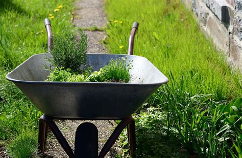 300 Free Wheelbarrows And Gardening Images Pixabay