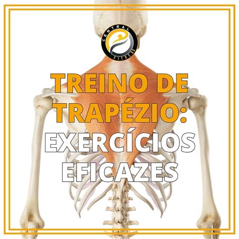 Exercício Para Trapézio Feminino - 9