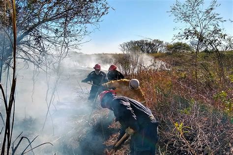 Reforzarán Patrullajes Por Las Quemas En El Delta Era Verde