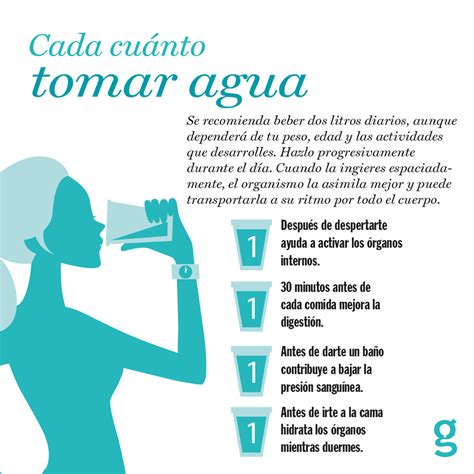 Movimiento Tendencia Fe Cada Cuantas Horas Se Debe Beber Agua Lema