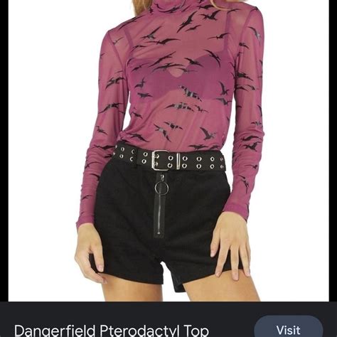 Dangerfield Mesh Pterodactyl Top Size 16 Small Depop