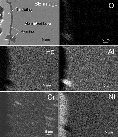 Cross Section EDS Maps Of O Al Fe Cr And Ni Elements In Alumina