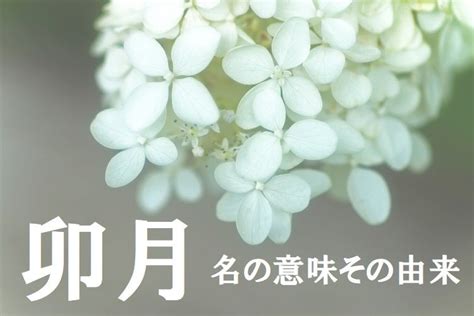 旧暦で4月を意味する「卯月（うづき）」、その由来は十二支の「卯」とはまた別物なんです！！ Trill【トリル】