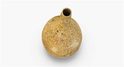 Gourd Water Container Calabash D Model D Model Ds C D Fbx