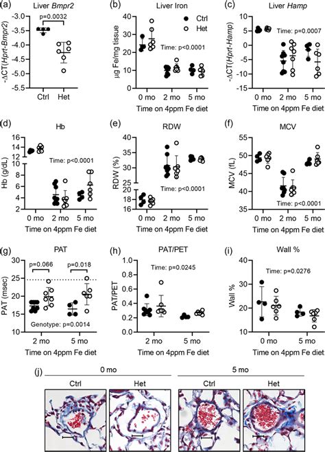 Irondeficient Bmpr2 Heterozygous Het Mice Have Unexpectedly Improved