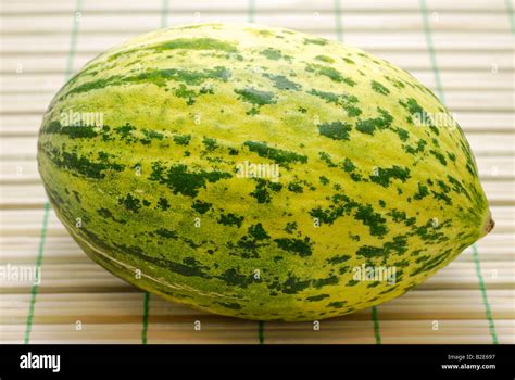 Christmas Melon a.k.a Santa Claus Melon Stock Photo - Alamy