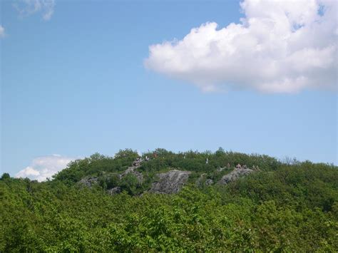 Hikers at réserve naturelle Gault de l'Université McGill report sightings 8