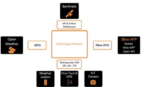 Sentinel Hive Tech Esa Space Solutions