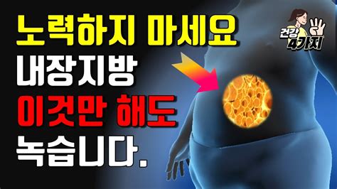 내장지방 가장 효율적으로 빨리 없애는 방법 4가지 Youtube