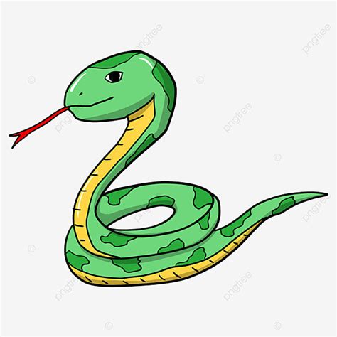 Cartoon Snake, Cartoon Clipart, Snake Clipart, Green PNG Transparent ...