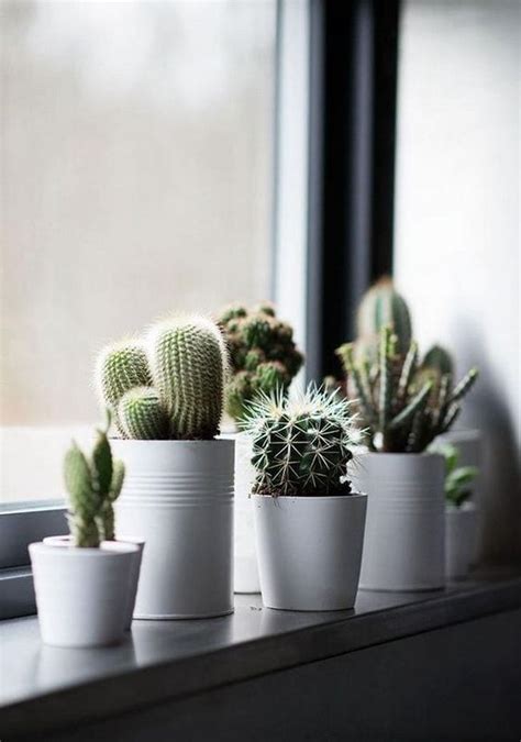 Ideas Para Decorar Interiores Con Cactus