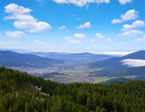 8 Unbelievably Beautiful Forests in Germany You Have to Visit