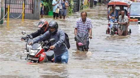 Assam Flood Crisis Death Toll Climbs To 64 Wildlife Losses In