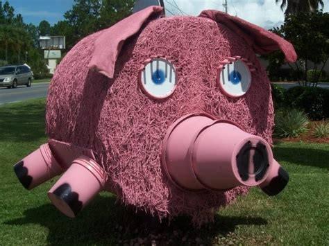 Pig Hay Bale Bauman Chiropractic Panama City Fl Baumanchiropractic