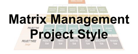 Matrix Management Project Style - Ten Six Consulting