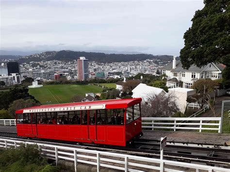 The Best Things to Do in Wellington