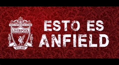 Estoesanfield On Twitter Liverbird Upon My Chest