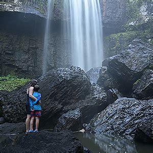 Cairns Best Waterfalls Guide - Tablelands to the Daintree.