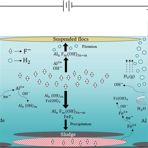 Schematic Illustration Of The Fluoride Removal Mechanism By Ec Gms