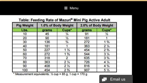 Pin by Carrie on All Things Pig | Mini pig, Pig, Body weight