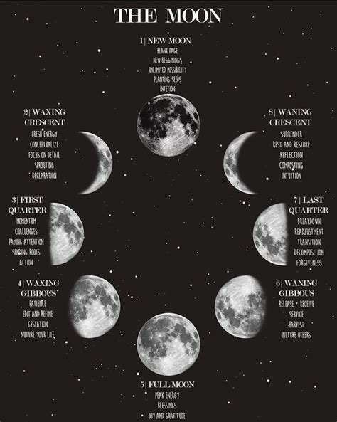 Pin By Lisa Jordan On Witchy Stuff Moon Phases Moon Full Moon