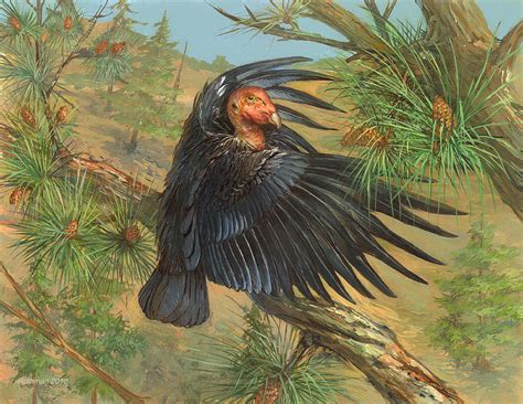 Condor Painting