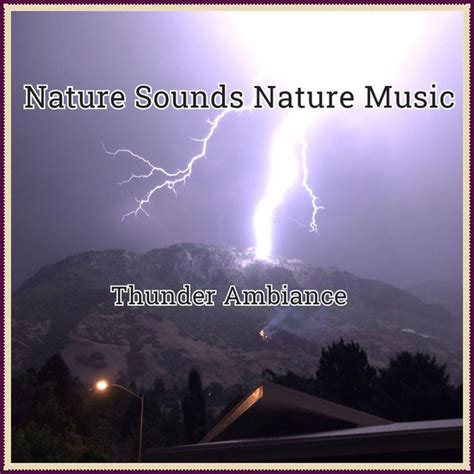 Rain Drops Trickling Song And Lyrics By Nature Sounds Nature Music