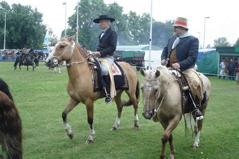 Por qué se celebra hoy el Día Nacional del Gaucho Entrelíneas info