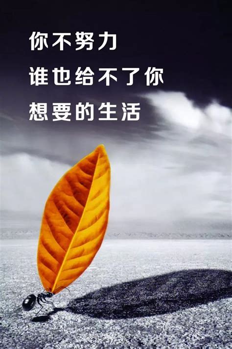 早安語錄正能量勵志句子 每日頭條