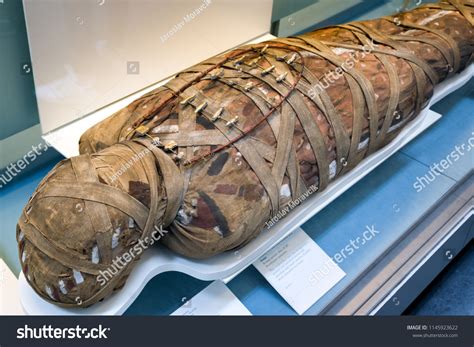 egyptian mummy stock  images photography shutterstock