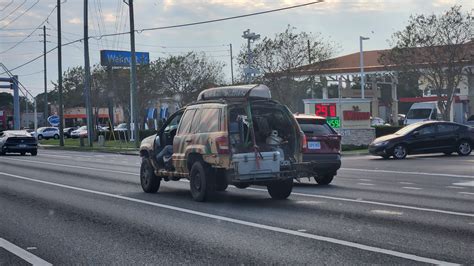 The most Florida picture I've ever taken. : r/funny