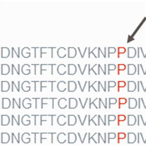 Analysis of the mutation and protein domains of myelin protein zero ...