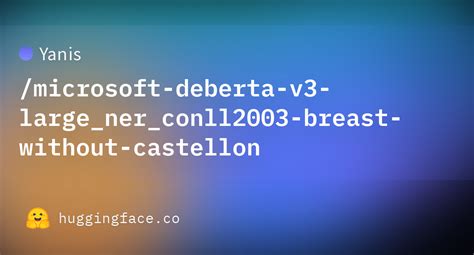 Yanis Microsoft Deberta V3 Large Ner Conll2003 Breast Without Castellon